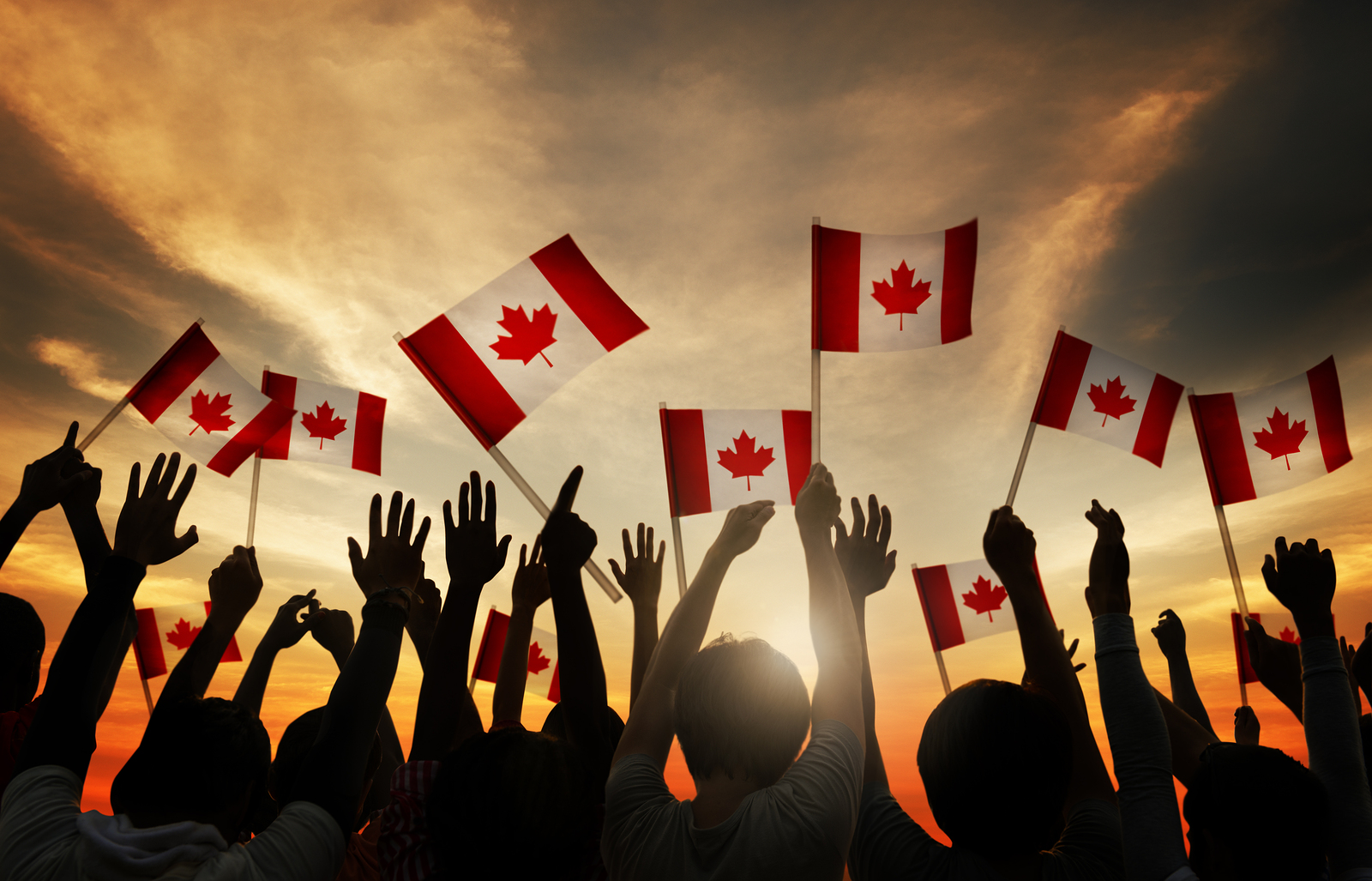 Group of People Waving Canadian Flag